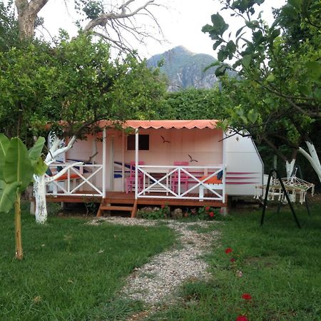 Bellerofon Caravan & Camping Cirali Bagian luar foto